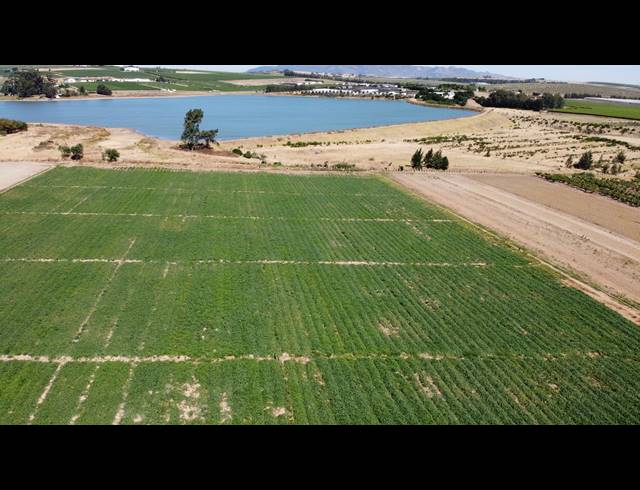 16.70HA FARM FOR SALE IN PAARL RURAL